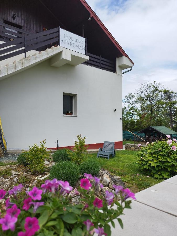 Holling Apartman Fertőboz エクステリア 写真