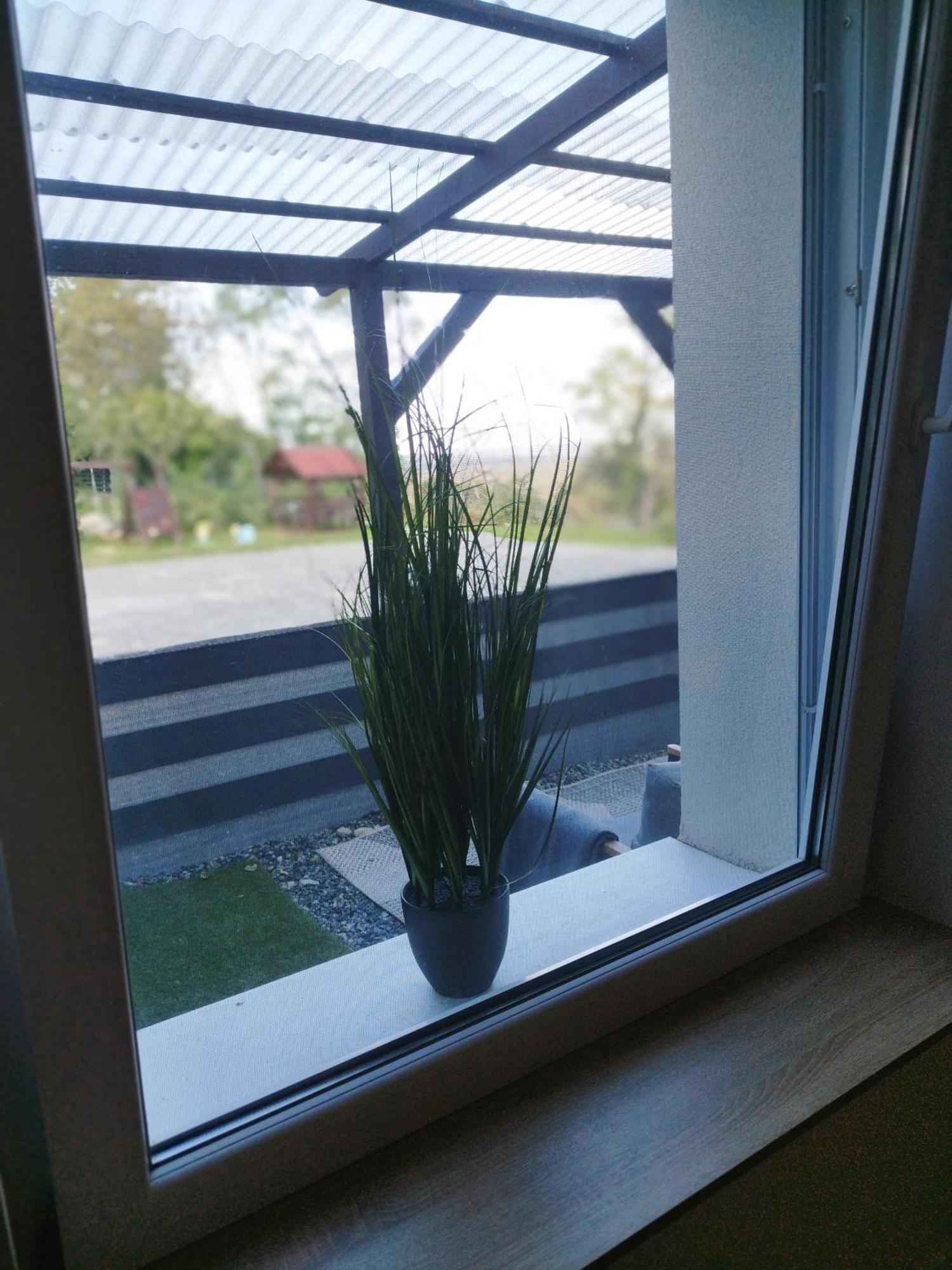 Holling Apartman Fertőboz エクステリア 写真